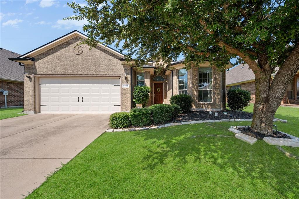 7810 Black Willow Lane