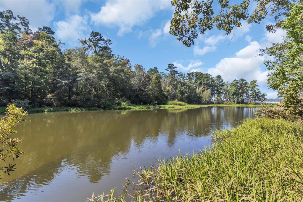 East Side Lake Tyler - Land