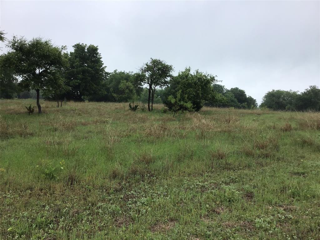 White Bluff #42 - Land