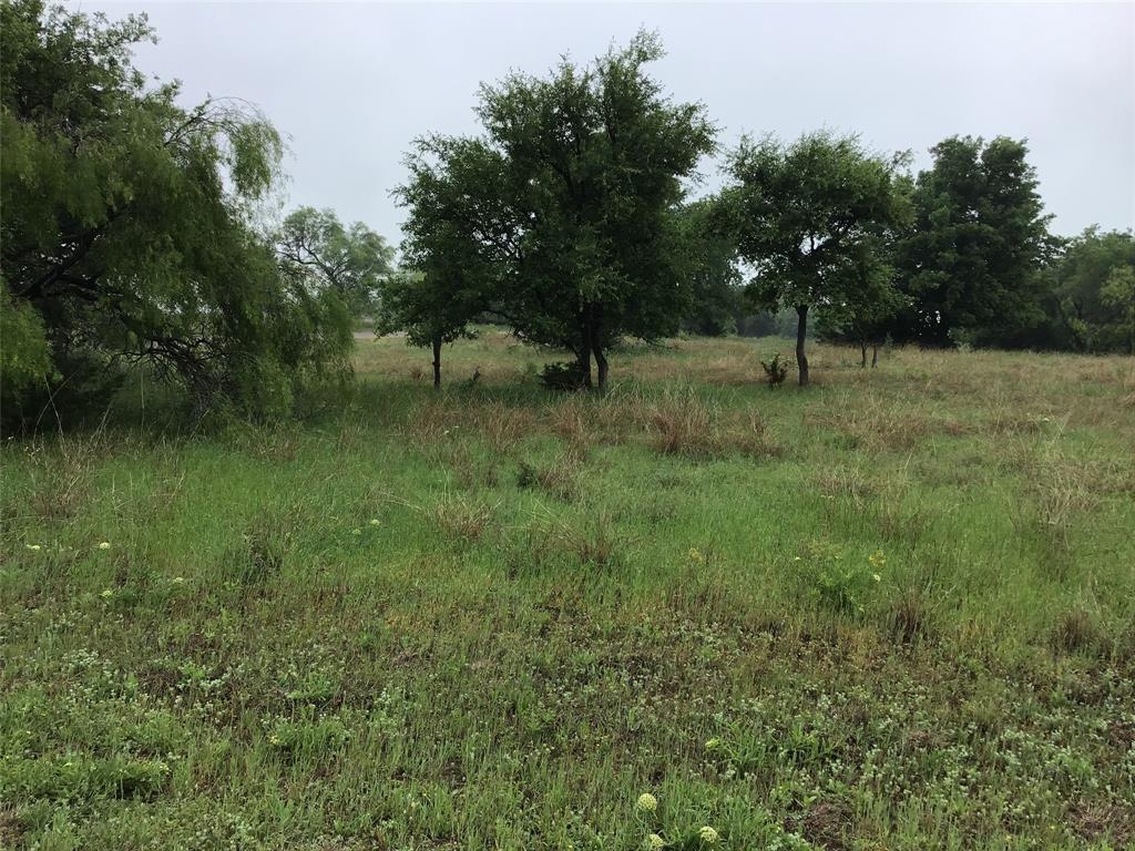 White Bluff #42 - Land