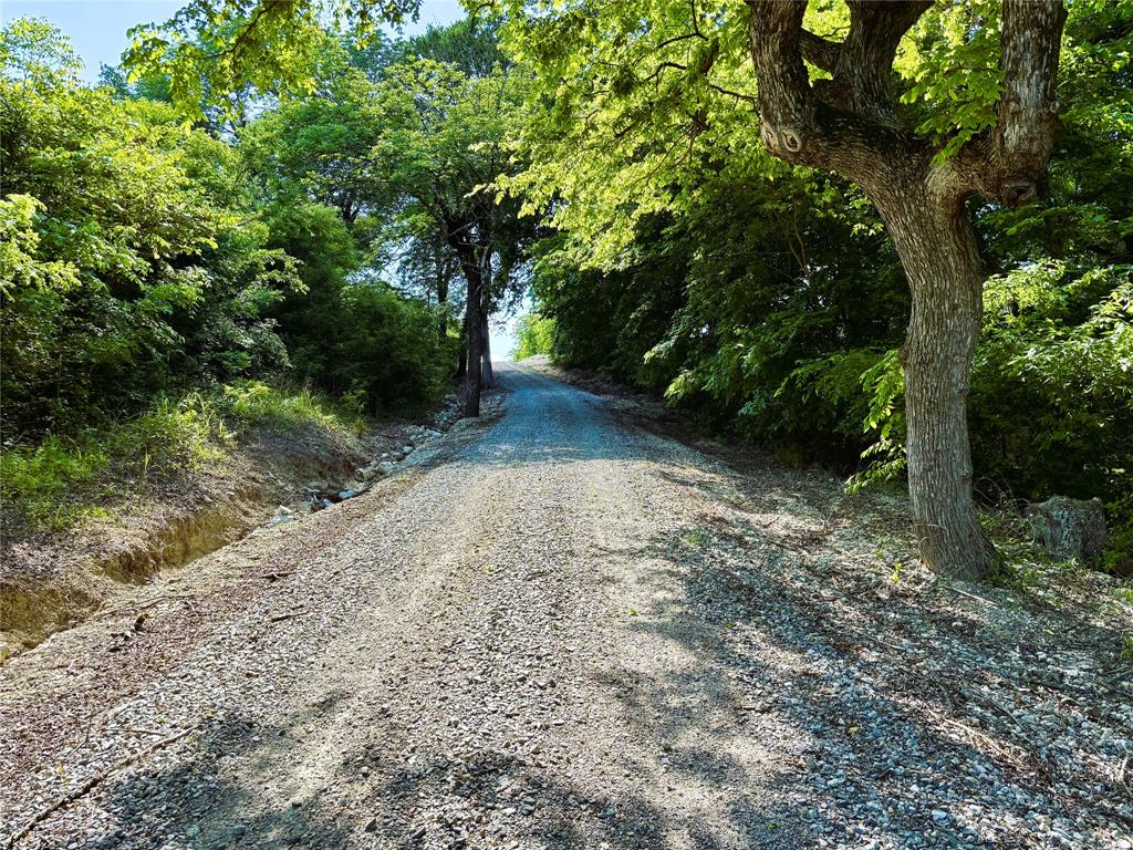 J Zepada A1232 - Farm