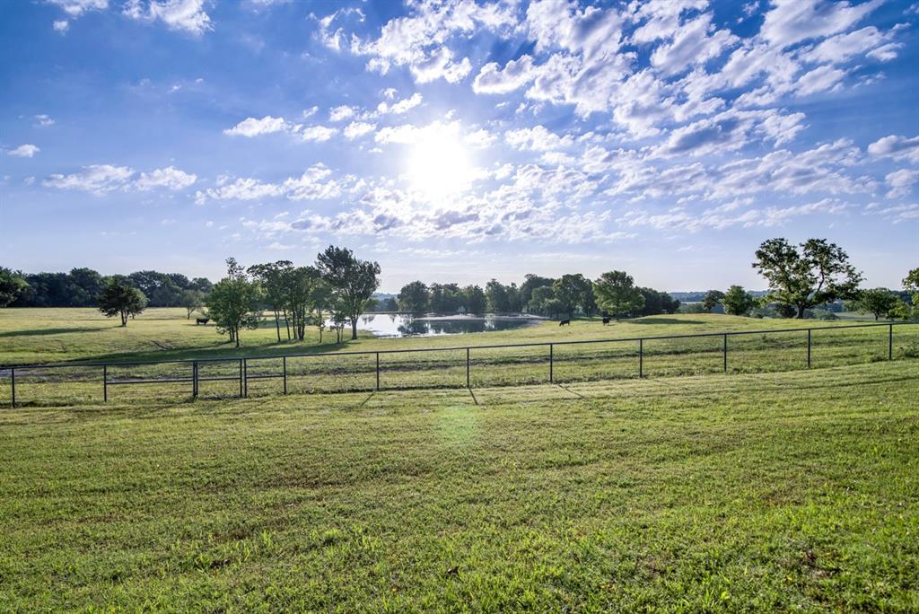 J Zepada A1232 - Farm