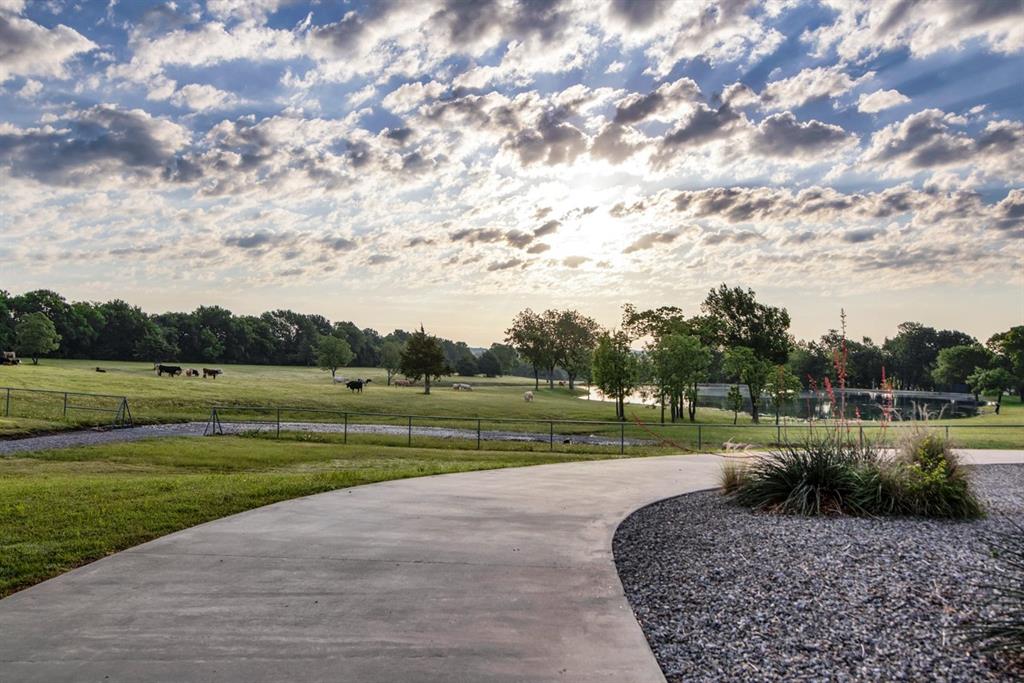 J Zepada A1232 - Farm