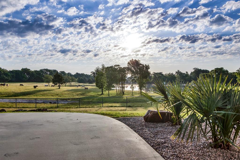 J Zepada A1232 - Farm