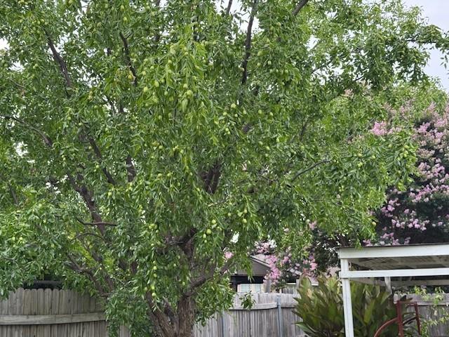 Meadow Vista Estate Addition - Residential