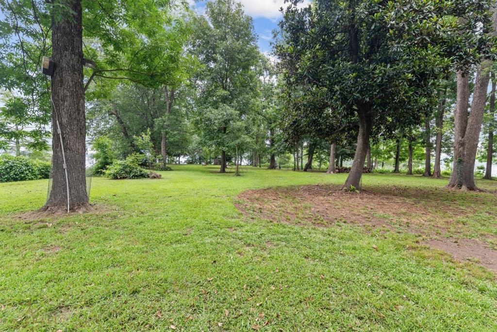 Bird Island - Residential