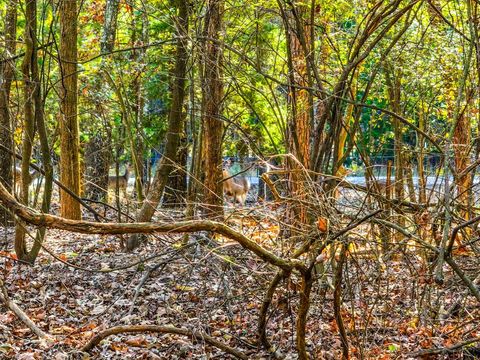 Lot 17 Sweet Gum Lane Mount Vernon TX 75457