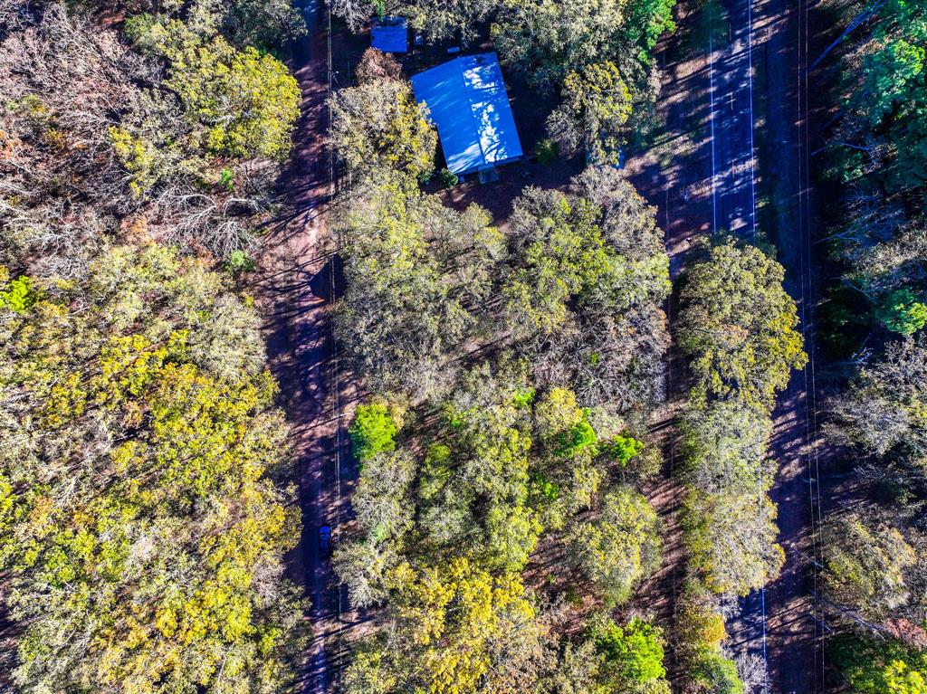 Lot 17 Sweet Gum Lane