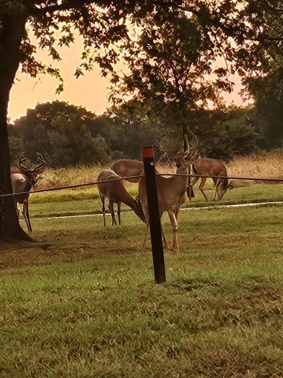 Lake Worth Leases Add - Residential