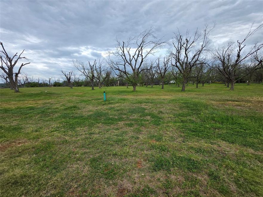 Howdy! Welcome to The Landings at Pecan Plantation, LOT 3308, 8421 W Landings Rd. Beautiful lot full of Pecan trees. Established homes in this area are amazing! LOT is 1.426 ACRES and measures approx 180 x 274 x 281 x 323. Site is complete with concrete roads, electric service, MUD water, Septic Required. Orchard irrigation & high speed internet available. Min SQFT to build is 2,200. No time frame to build and you may use any builder. This LOT is full of thriving Pecan trees. Discover the exceptional lifestyle of Pecan Plantation, a private, gated community nestled along 17 miles of the historic Brazos River within a 4,200-acre pecan orchard. Enjoy resort-style amenities including two championship golf courses with full practice facilities, a fullservice clubhouse with multiple dining options, marina with access to Lake Granbury, tennis & pickleball courts, pools, dog park, riverside parks, Airparks, camping, & 24 7 security with Fire & EMS services. The Village, features a bank, grocery store, restaurant, Pecan Medical Clinic, PT Services, pharmacy, golf cart shop, Vet Clinic, car wash, & Ace Hardware. Just minutes from the Historic Granbury Square—officially the “Celebration Capital of Texas”—and under an hour from Fort Worth. Experience the perfect blend of tranquility, recreation, and convenience. Come see why you’ll want to build your dream home here! PPOA Mandatory Membership as of 9-1-25: PPOA Transfer Fee $1,091.00 + 73.65 (tax) = $1,304.49. Initiation Fee $4,381 EQUALS: $5,545.65 The monthly fee is $204.75 and includes trash service or $182.75 without trash service. Search YouTube 'Airplane Ride Around Pecan Plantation Rebecca Van Buren' to learn about our amazing community.