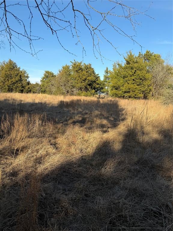 Photo of 3117 County Road 2130, Corsicana, TX 75109 (MLS # 21350685)
