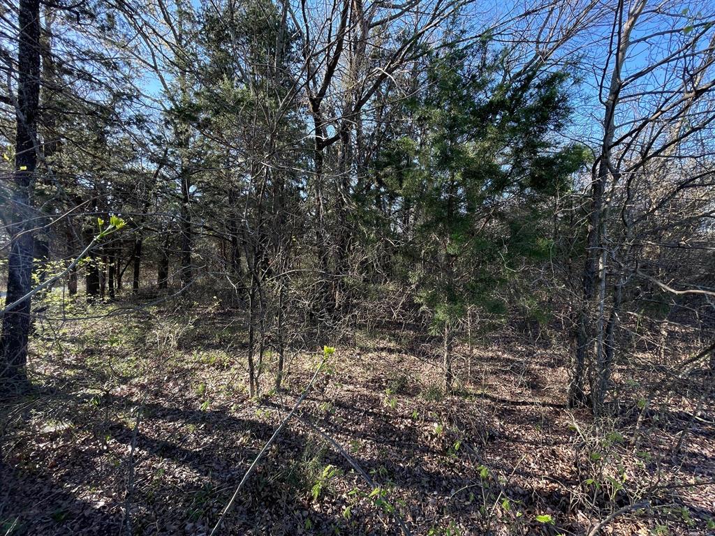 Pronghorn Add - Land