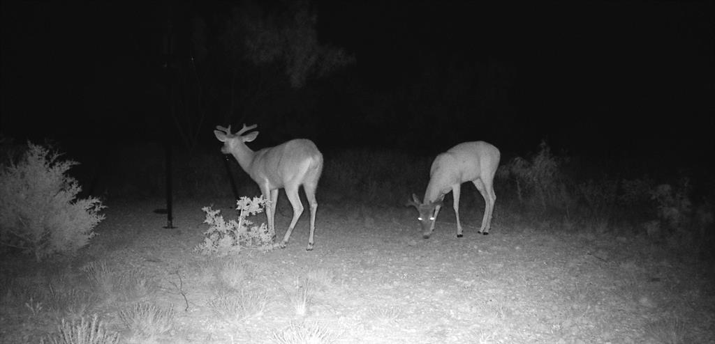 Summit View Estates - Land