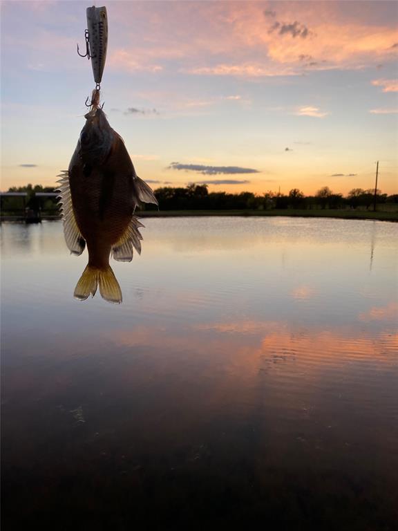 Lone Oak Meadows - Land