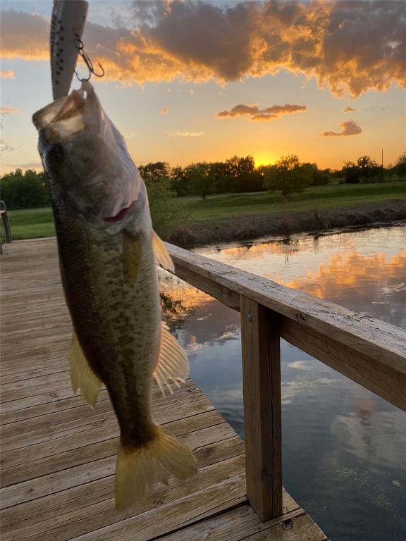 Lone Oak Meadows - Land