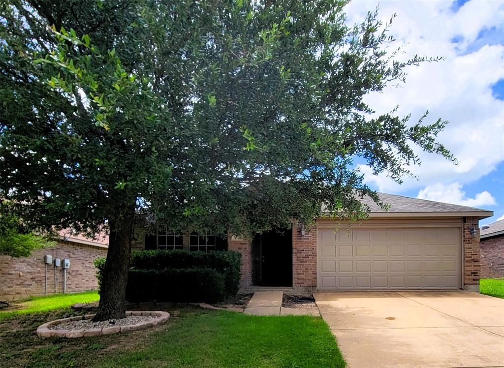1433 Kramer Court