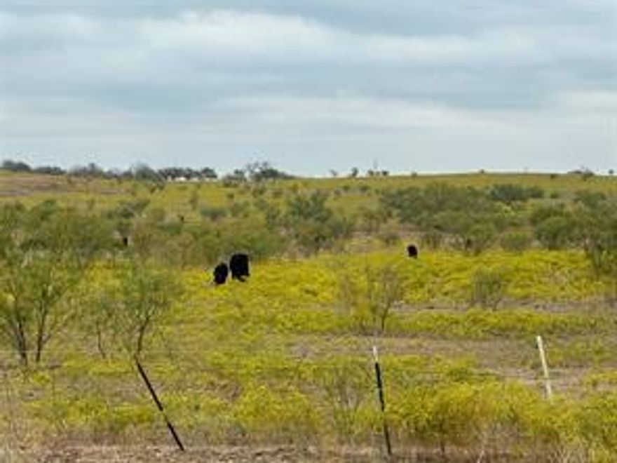 Possibilities on this land are endless! Property is located outside the city limits in Denton County. Land is unimproved for the most part but does have Green Springs Water and electric available at the road. Close proximity to Lake Ray Roberts. Lake Ray Roberts ordinances apply. Land is also in ETJ for Denton and Sanger. Great for developer or investor. Currently ag exempt. Sanger schools.
