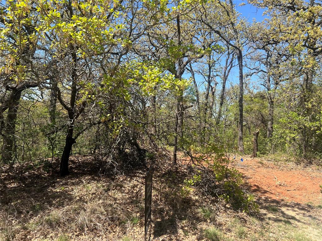Caddo Forest Estate - Land