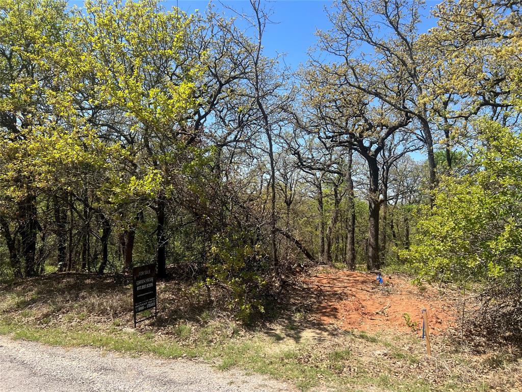 Caddo Forest Estate - Land