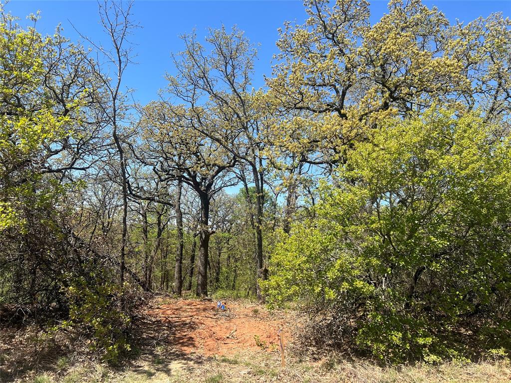 Caddo Forest Estate - Land