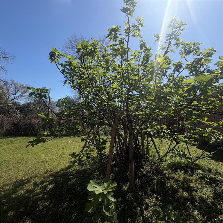 Broadmoor - Residential