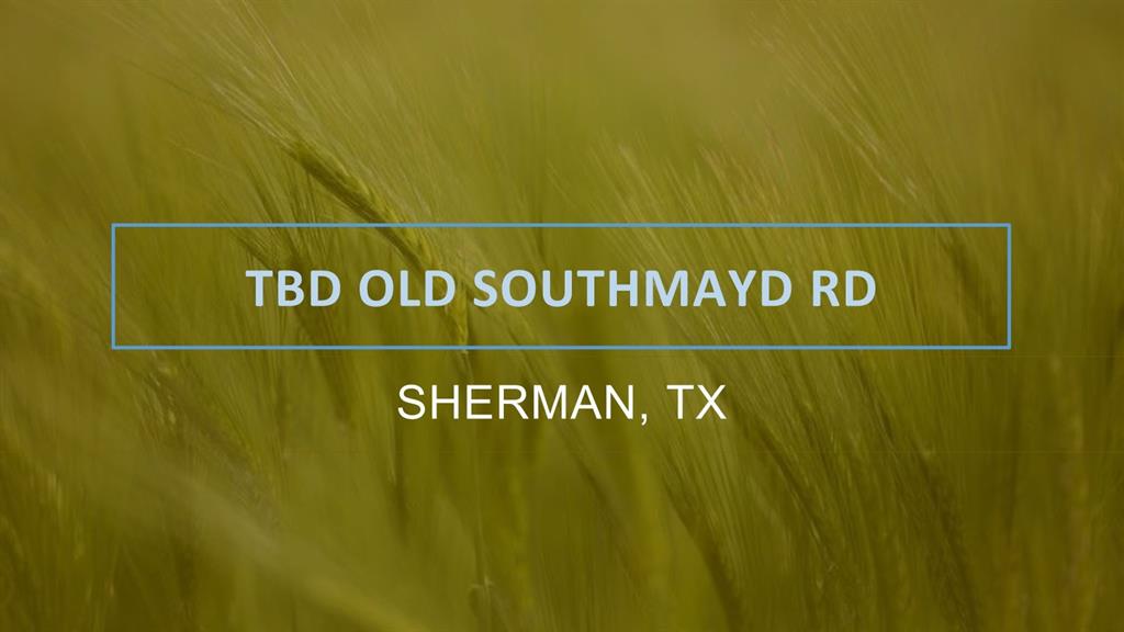 TBD Old Southmayd Road Tract 1C
