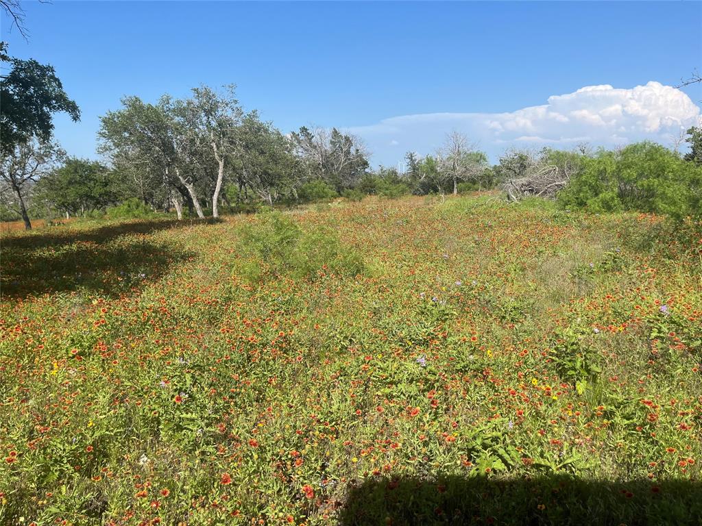 LIVE OAK VISTAS - Farm