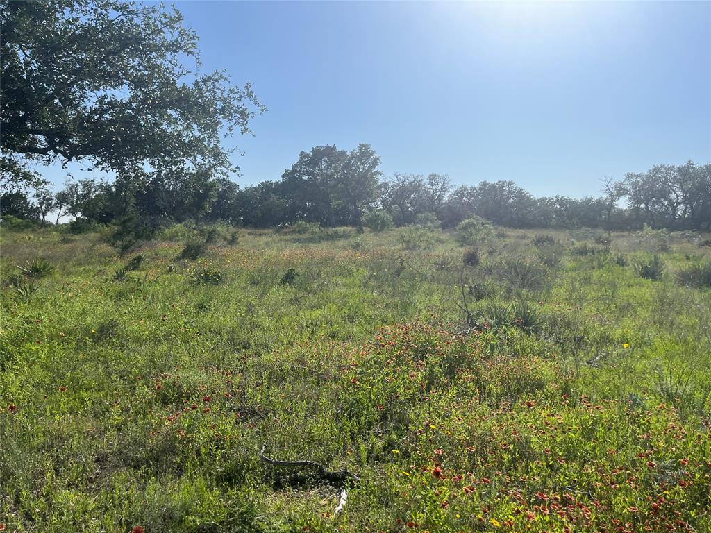 LIVE OAK VISTAS - Farm