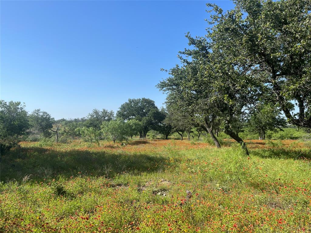 LIVE OAK VISTAS - Farm