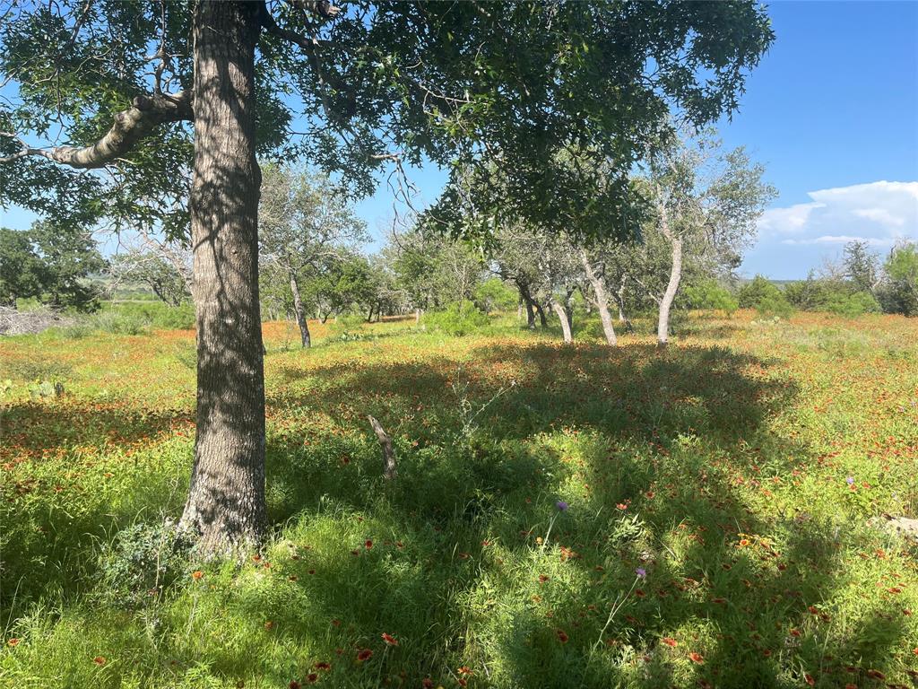 LIVE OAK VISTAS - Farm