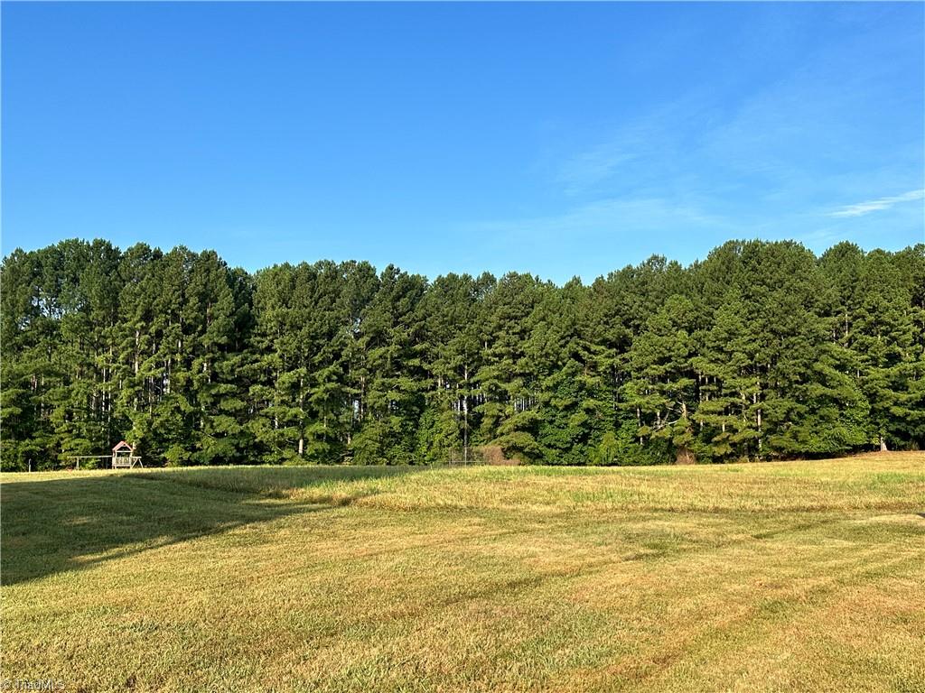 49 +/- Acres Bray Ford Road, Dobson, North Carolina image 6