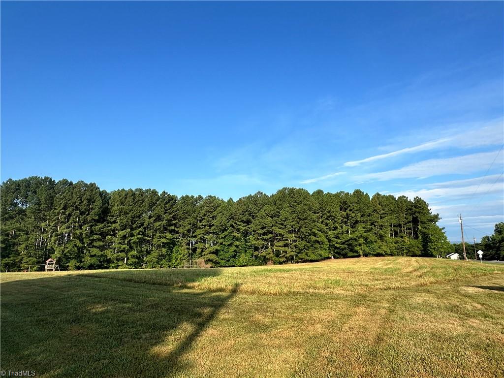 49 +/- Acres Bray Ford Road, Dobson, North Carolina image 7