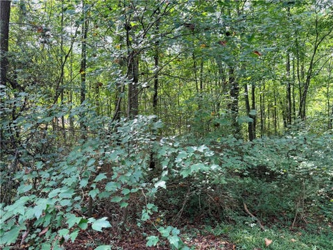 Vacant Land For Sale - Carmi Lane<br/> Salisbury, NC 28144