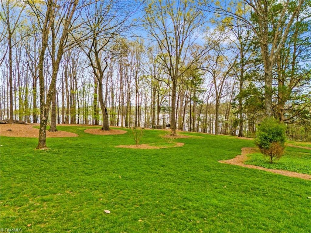 2305 Northbay Court, Browns Summit, North Carolina image 47