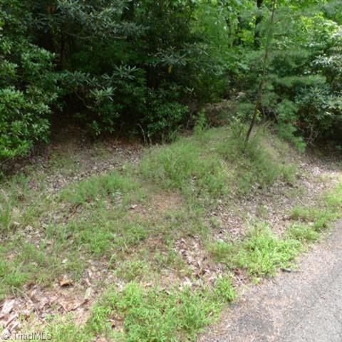 Lot 17 Mountain View Drive, Lowgap, North Carolina image 3