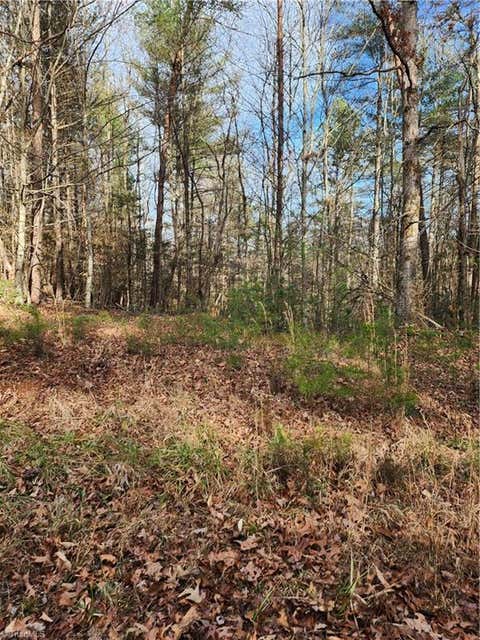 Vacant Land For Sale - Rainbow Trout Drive #14<br/> Hays, NC 28635