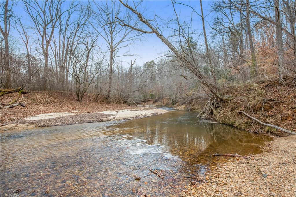 1305 River Bluff Trail, Tobaccoville, North Carolina image 45