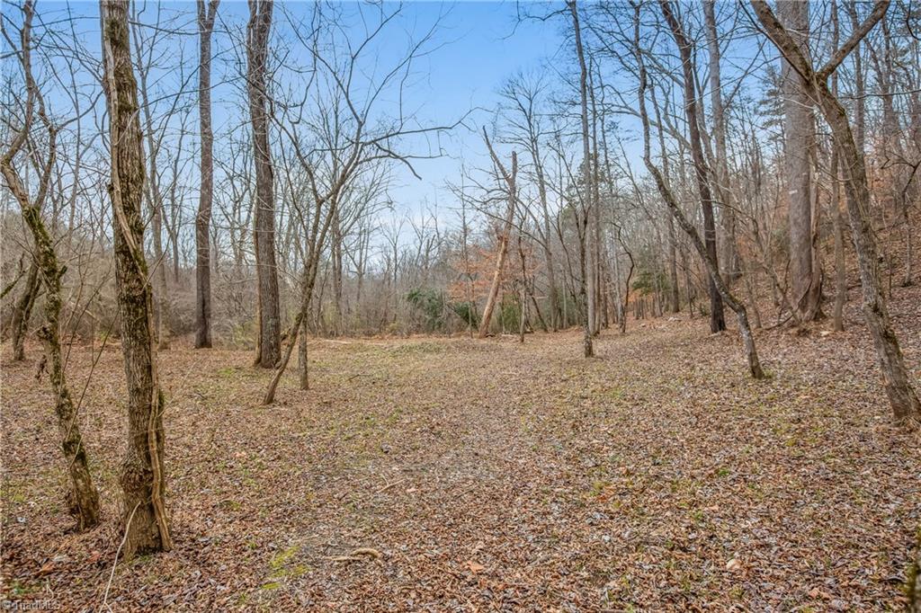 1305 River Bluff Trail, Tobaccoville, North Carolina image 43