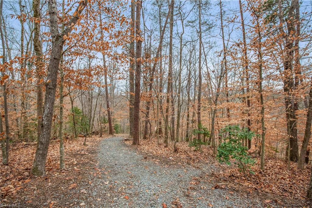 1305 River Bluff Trail, Tobaccoville, North Carolina image 41