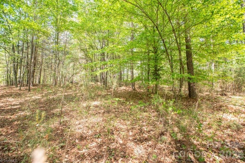 Vacant Land For Sale - 1518 W Paradise Harbor Drive<br/> Connelly Springs, NC 28612
