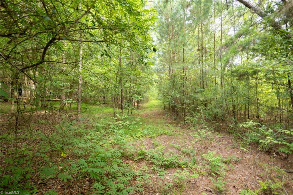 2347 Honey Locust Road, Asheboro, North Carolina image 3