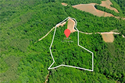 Vacant Land For Sale - 9 Roby Fulk Road<br/> Pinnacle, NC 27043