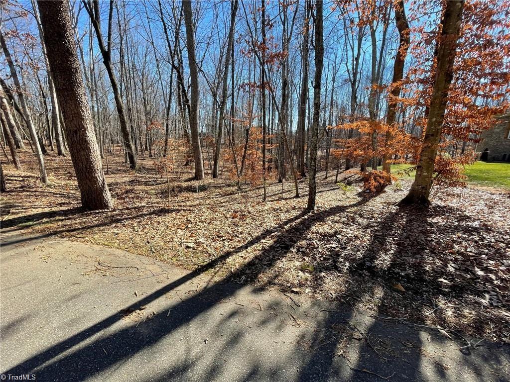 1.59ac Deerfield Drive, King, North Carolina image 5