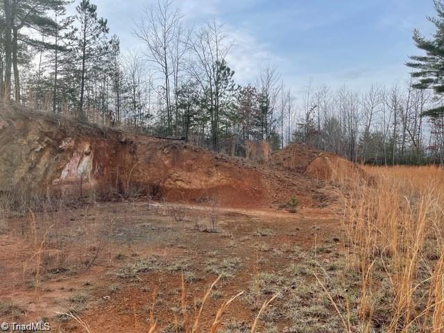 LOT 18 Rosebrier Road, Boomer, North Carolina image 8