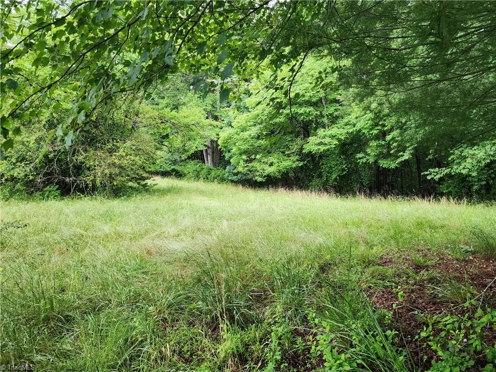 981 Dehart Community Ctr Road, Hays, North Carolina image 32
