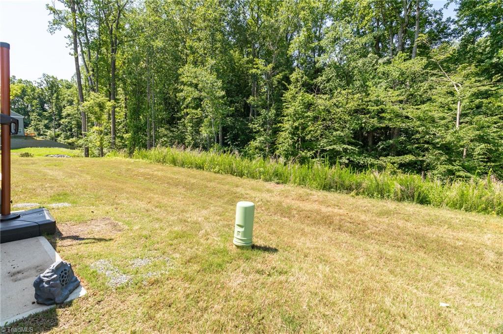 3 Stardust Trail, Greensboro, North Carolina image 25