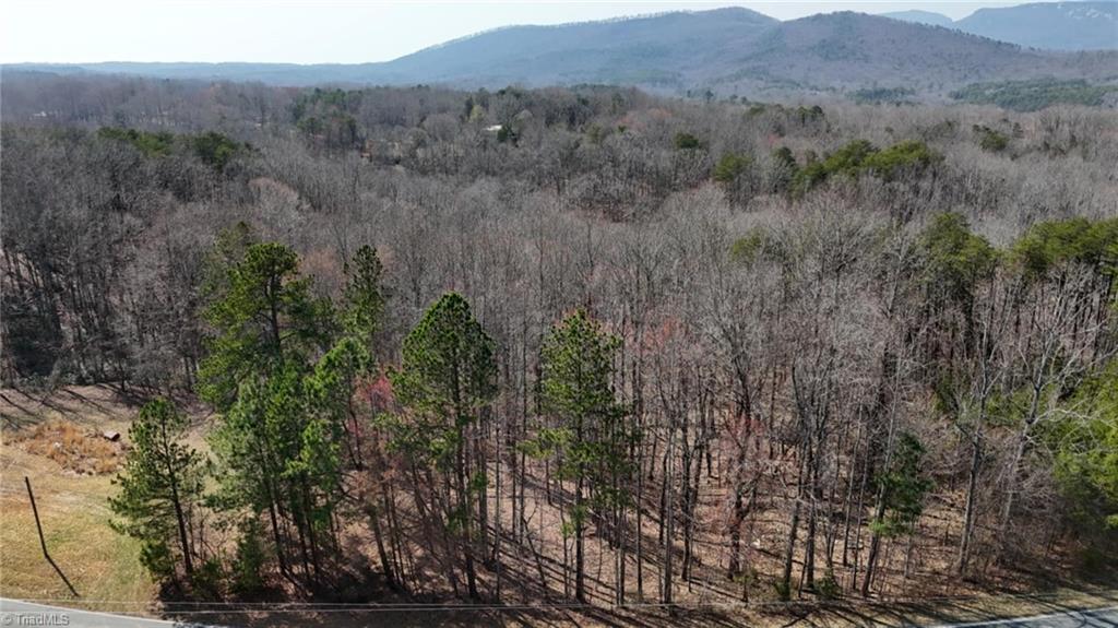 1351 Gene Martin Road, Walnut Cove, North Carolina image 13