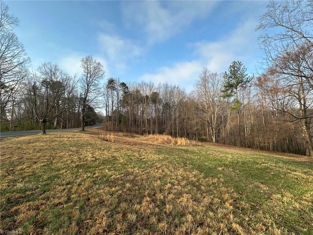 1351 Gene Martin Road, Walnut Cove, North Carolina image 1