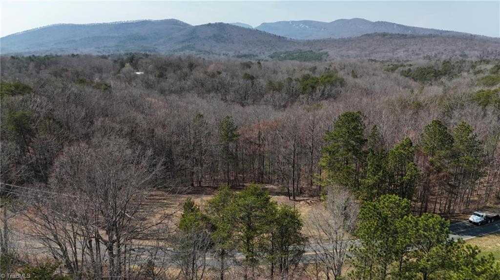 1351 Gene Martin Road, Walnut Cove, North Carolina image 11