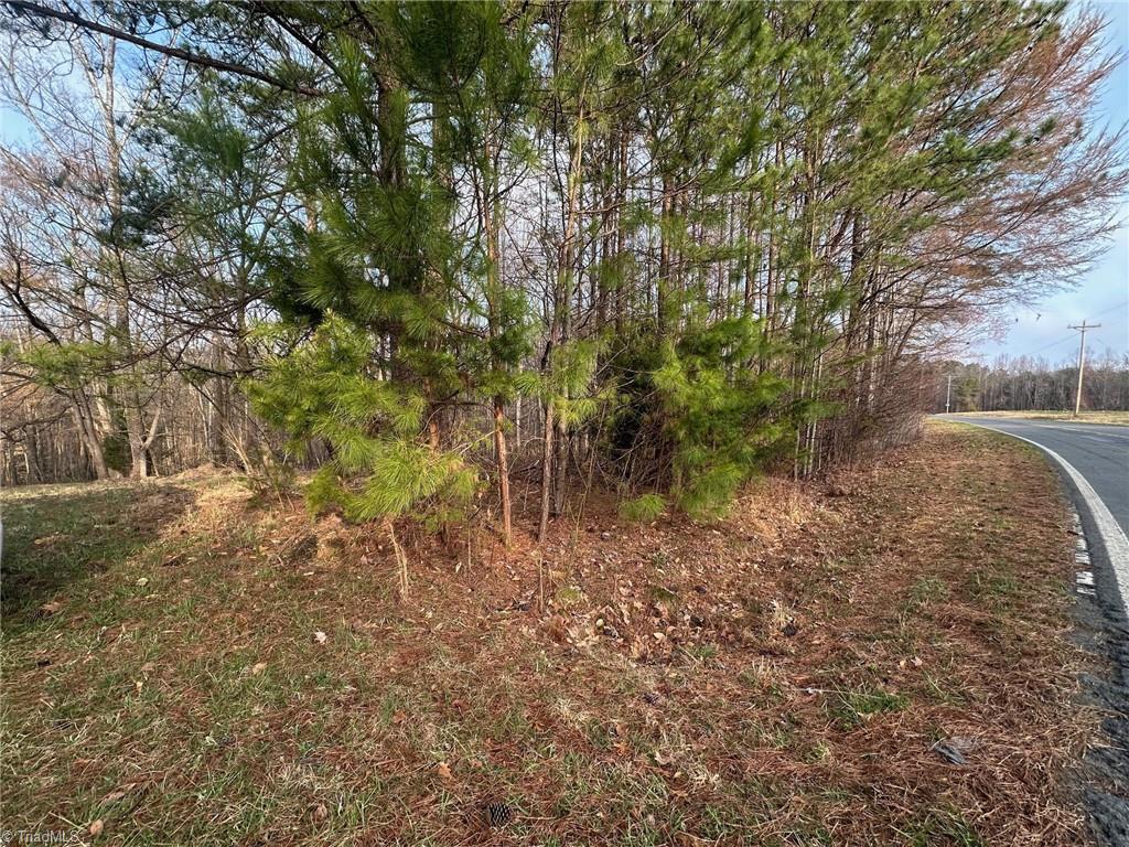 1351 Gene Martin Road, Walnut Cove, North Carolina image 3